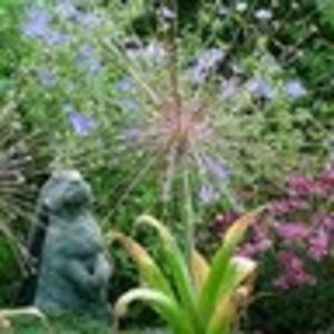 Meet your Posher, Allium